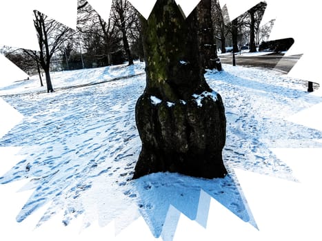 Digital Illustration Winter Trees and Snow Background