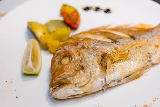 Grill fish on the white plate
