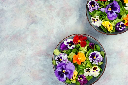 Spring seasonal colorful edible flower salad. Space for text.