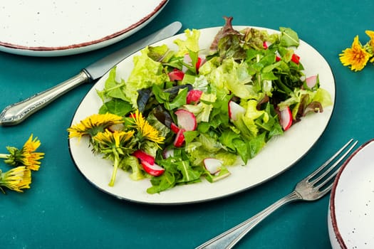 Spring salad of greens, radish and dandelions flowers on a plate.
