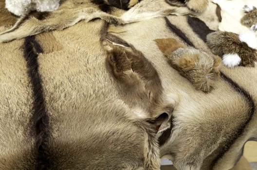 Detail of tanned animal skin, clothing for the cold and winter