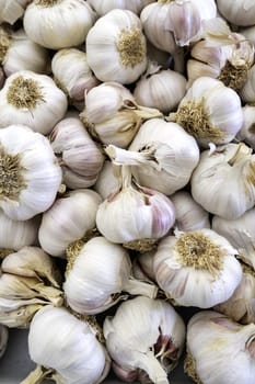 Detail of dried garlic, cooking ingredient, strong flavor