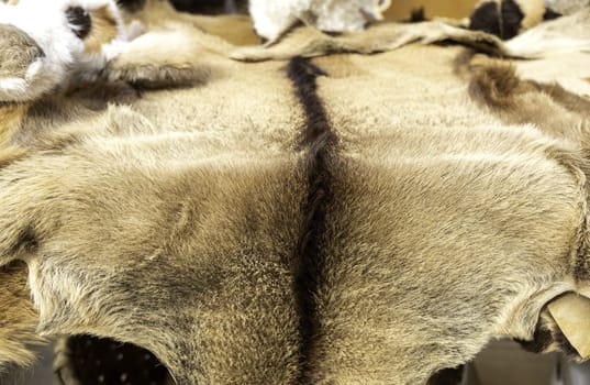 Detail of tanned animal skin, clothing for the cold and winter