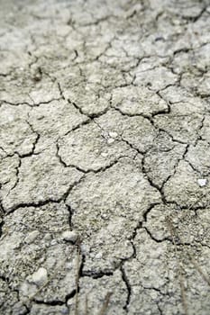 Detail of climate change and environmental destruction