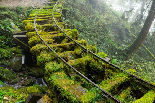 Hiking trail in Taipingshan of Yilan Jianqing Huaigu Trail