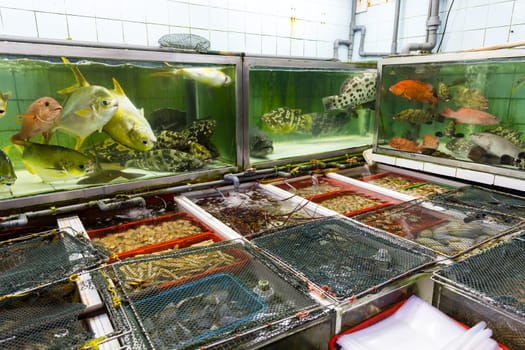 Seafood water tank outside the restaurant