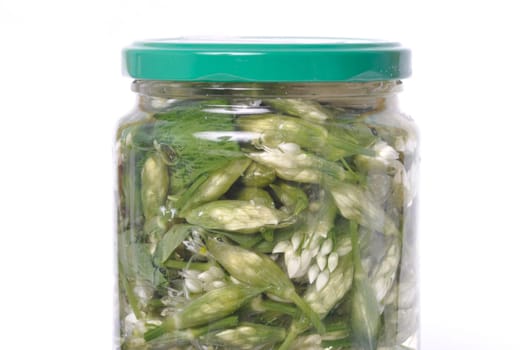 wild garlic flower bud in lacto fermented