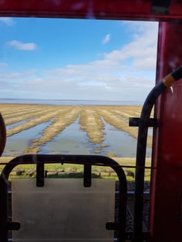 The car train to westerland on sylt