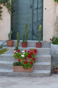 Mediterranean motif, stone staircase with flower pots and cacti