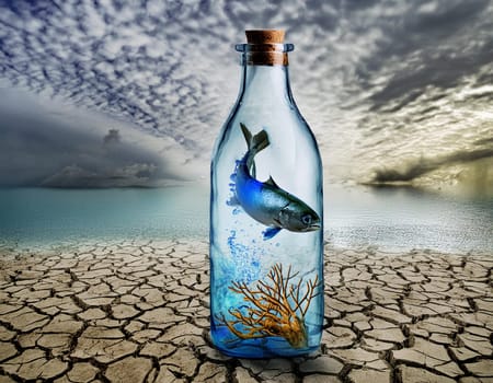 Environmental pollution sea of water, fish in bottle message in a bottle