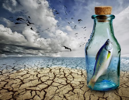 Environmental pollution sea of water, fish in bottle message in a bottle