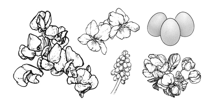 Graphical spring set isolated on white background