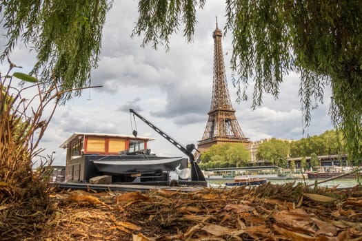 Eiffel Tower viewed from the ground of the banks of the Seine river on a cloudy day, above brown leaves of trees