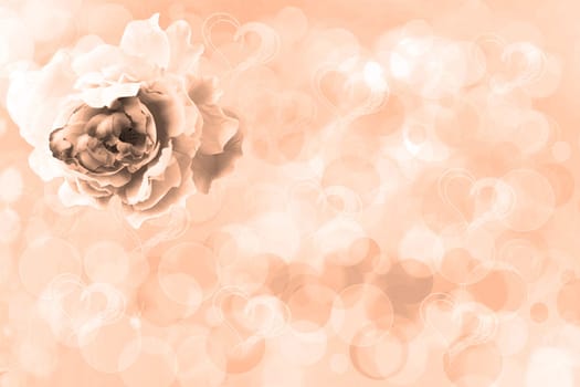 Greeting card template. A champagne brown greeting card with an artificial rose flower on an abstract heart background. Spring, valentine, mothers or wedding day. Copy space.