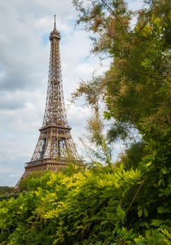 Eiffel Tower viewed from the banks with frame of vegetation and trees