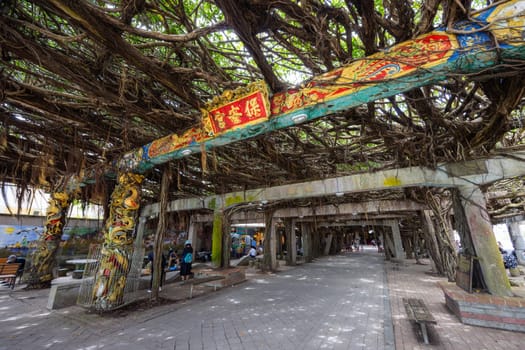 Penghu, Taiwan 27 June 2022: Tongliang Great Banyan