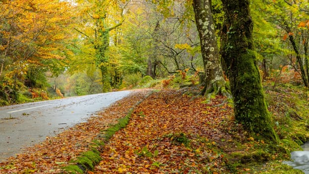 Autumn landscape at Geres National Park, Portugal