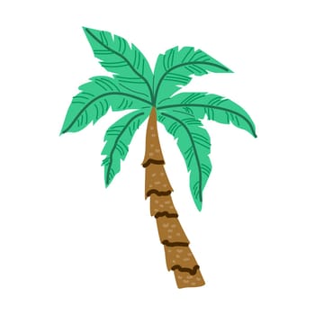 Palm tree cartoon isolated on white. Single palm clipart. Template for poster or postcard. Graphic element for tropical, exotic illustration. One high plant.