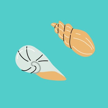 Set of seashells on blue background. Flat cartoon illustration. Summer vacation collection, tropical beach shells.