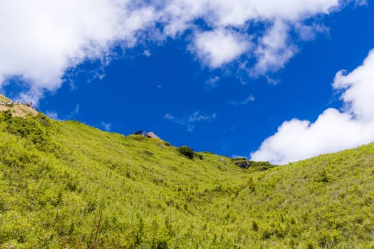 Scenery of the green mountain Hehuanshan