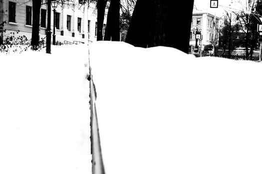 Black and White Trees Branches Covered in Snow