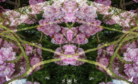 Digital Rendering Pink Flower Abstract Background