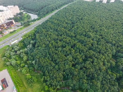 Suburban park and glade. Suburban landscape suburbs