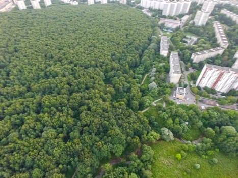 Suburban park and glade. Suburban landscape suburbs