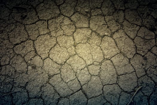 Detail of climate change and environmental destruction