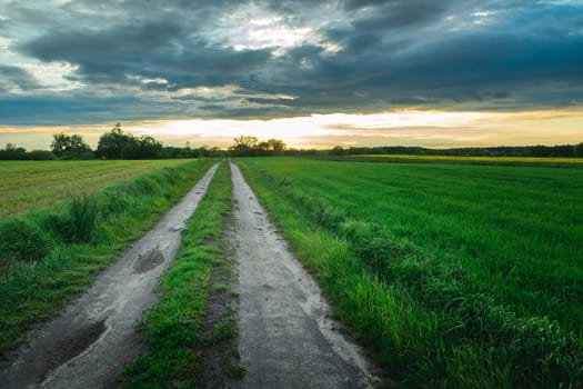 Long dirt road through fields and evening clouds on the sky, Nowiny, Poland