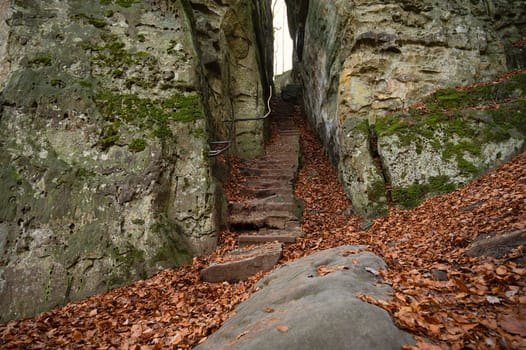 Devil Gorge at the Eifel, Teufelsschlucht with mighty boulders and canyon, hiking trail in Germany, sandstone rock formation, autumn