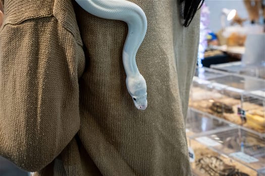 The snake slithering on a body of person. It's a popular pet in Thailand.
