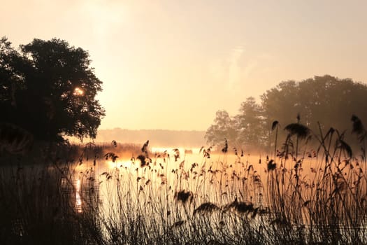 Sunrise over the lake in early spring