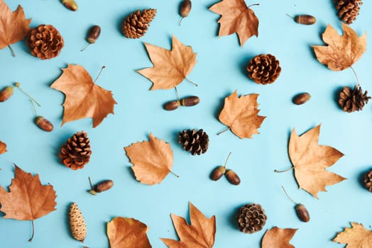 Autumn leaves with acorn and cones composition pattern on pastel blue background from above. Maple leaf texture on color table. Minimal thanksgiving and halloween seasonal design pop art.