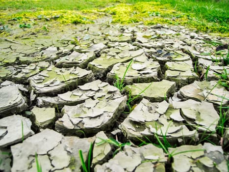 Wide angle close-up view of a dried and broken layer of mud in front of a meadow in summer in Bavaria.