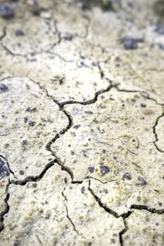 Detail of climate change and environmental destruction