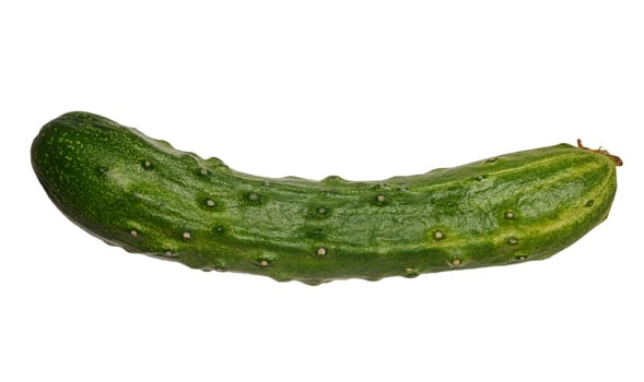 Fresh green cucumber on isolated background