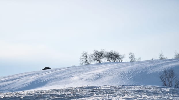 Norwegian high mountains in the snow. Hills with bare trees. Snowy landscape in Scandinavia