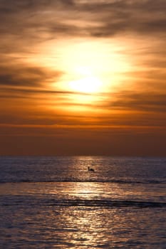 Sunset, seagull in the sky. Light waves. Sparkling water. Poel island on the Baltic Sea. Nature photo from the coast