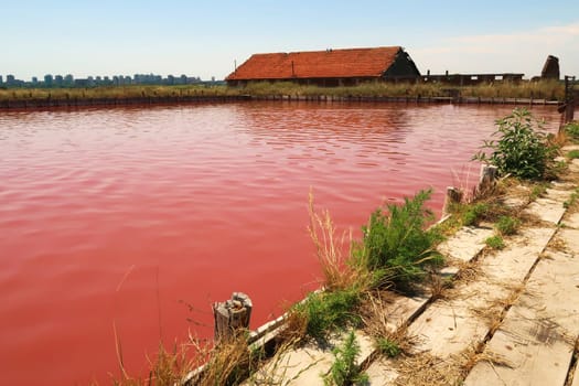 The main bathing, swimming pool at the Burgas Salt Pans with water of intense pink color and a board walk next to it, Lake Atanasovsko, Atanasovo, Burgas, Bourgas, Bulgaria 2022
