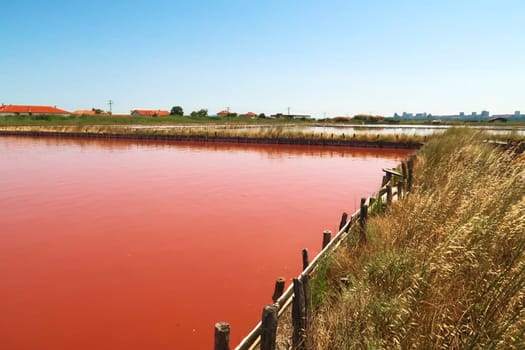 View onto the main bathing, swimming pool at the Burgas Salt Pans, water of intense pink color, Lake Atanasovsko, Atanasovo, Burgas, Bourgas, Bulgaria 2022