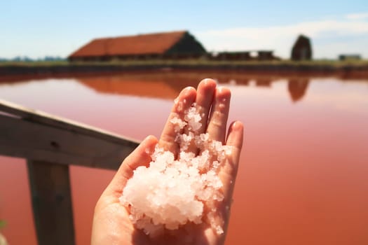 Handful of salt in front of the main bathing, swimming pool with intense pink color at the Burgas Salt Pans, Lake Atanasovsko, Atanasovo, Burgas, Bourgas, Bulgaria 2022