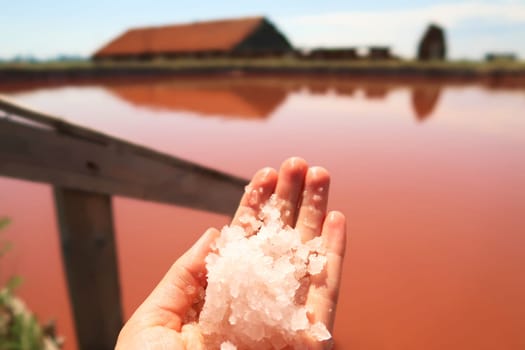 Hand holding salt in front of the main bathing, swimming pool with intense pink color at the Burgas Salt Pans, Lake Atanasovsko, Atanasovo, Burgas, Bourgas, Bulgaria 2022