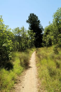 The hiking trail between Asen's Fortress and the Bachkovo Monastery is running through lush, dense vegetation, near Plovdiv, Plowdiw, Bulgaria 2022