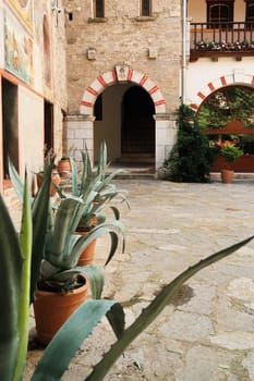 Aloe Vera plants in the courtyard of the Bachkovo Monastery next to a colorful red and white doorway, door, close to Plovdiv, Bulgaria 2022