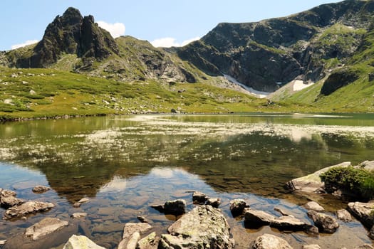 The mountains are reflecting on the water of the Fish Lake, Ribnoto Ezero, one of the Seven Rila Lakes, white flowers, blossoms of water plants can be seen in the water, Rila National Park, close to Sofia, Bulgaria 2022