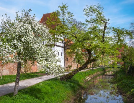 Cityscape of Donauwörth at he river Wörnitz