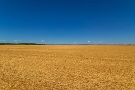 view of a crop field in the north of Spain