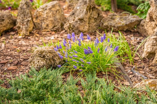 Use of natural materials in landscape design. Pine bark, stones and green plants