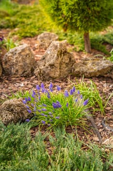 Use of natural materials in landscape design. Pine bark, stones and green plants